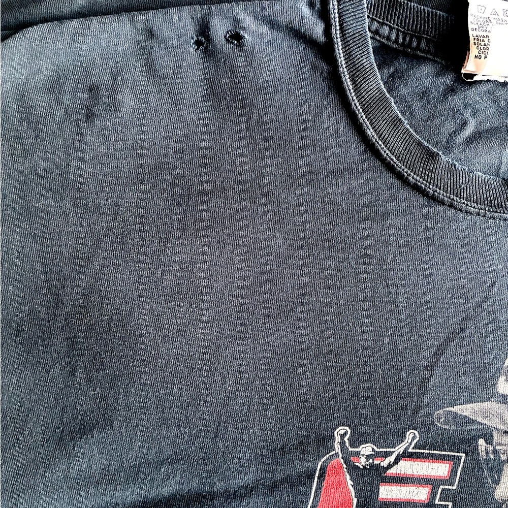 DALE EARNHARDT SR “HALL OF FAME” T-SHIRT XL - Picture 7 of 11